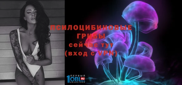 спиды Козельск