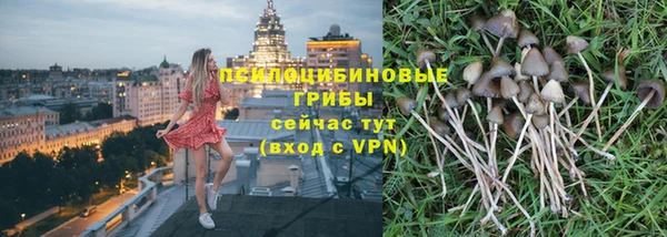 MDMA Козловка