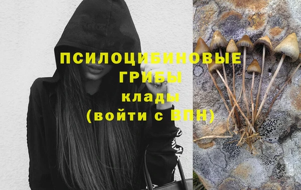 MDMA Козловка