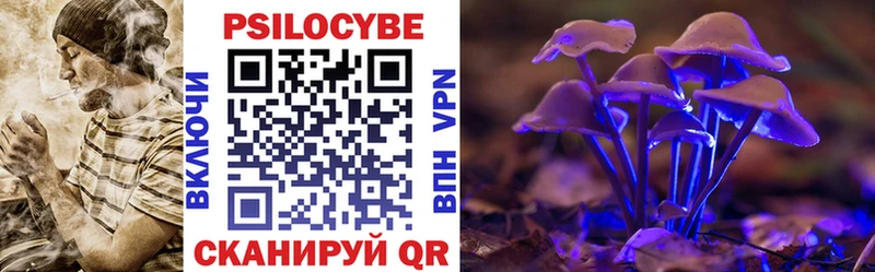 Галлюциногенные грибы Magic Shrooms  Купить где  Зеленокумск 