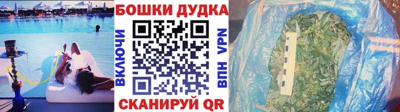 Бошки Шишки SATIVA & INDICA  Купить закладки  Зеленокумск 